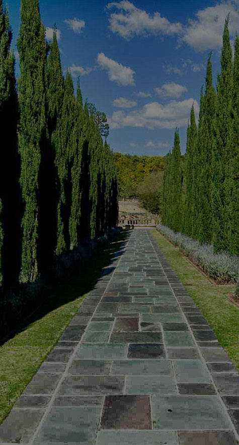 Flagstone pathway lined with trees