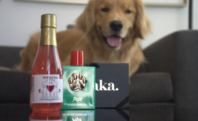 Puparazzi Package at AKA Beverly Hills