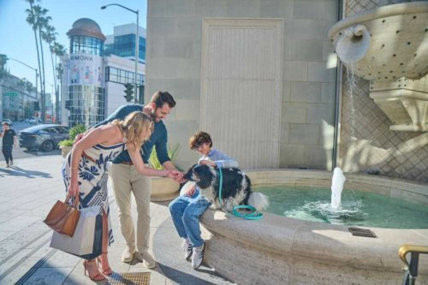Paws on Via Rodeo: The Love & Luxury Experience