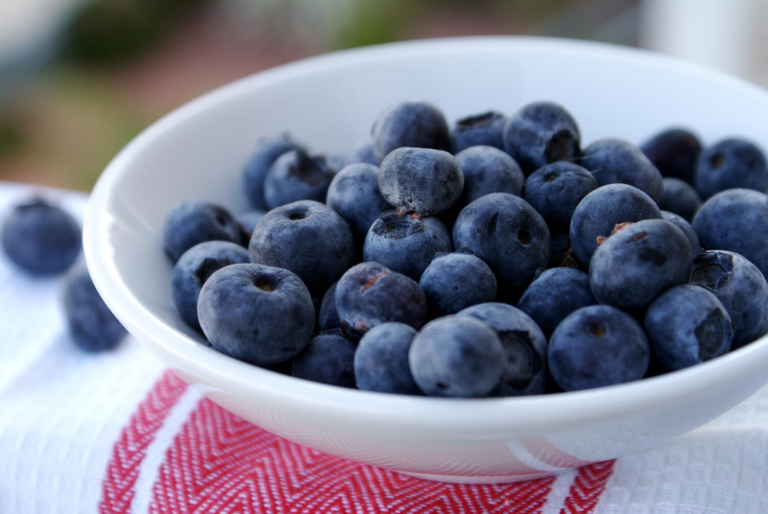 The BLVD Blueberry Month Contest