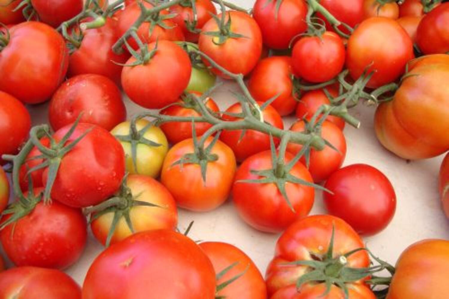 Saving the Season Class at Greystone Kitchen