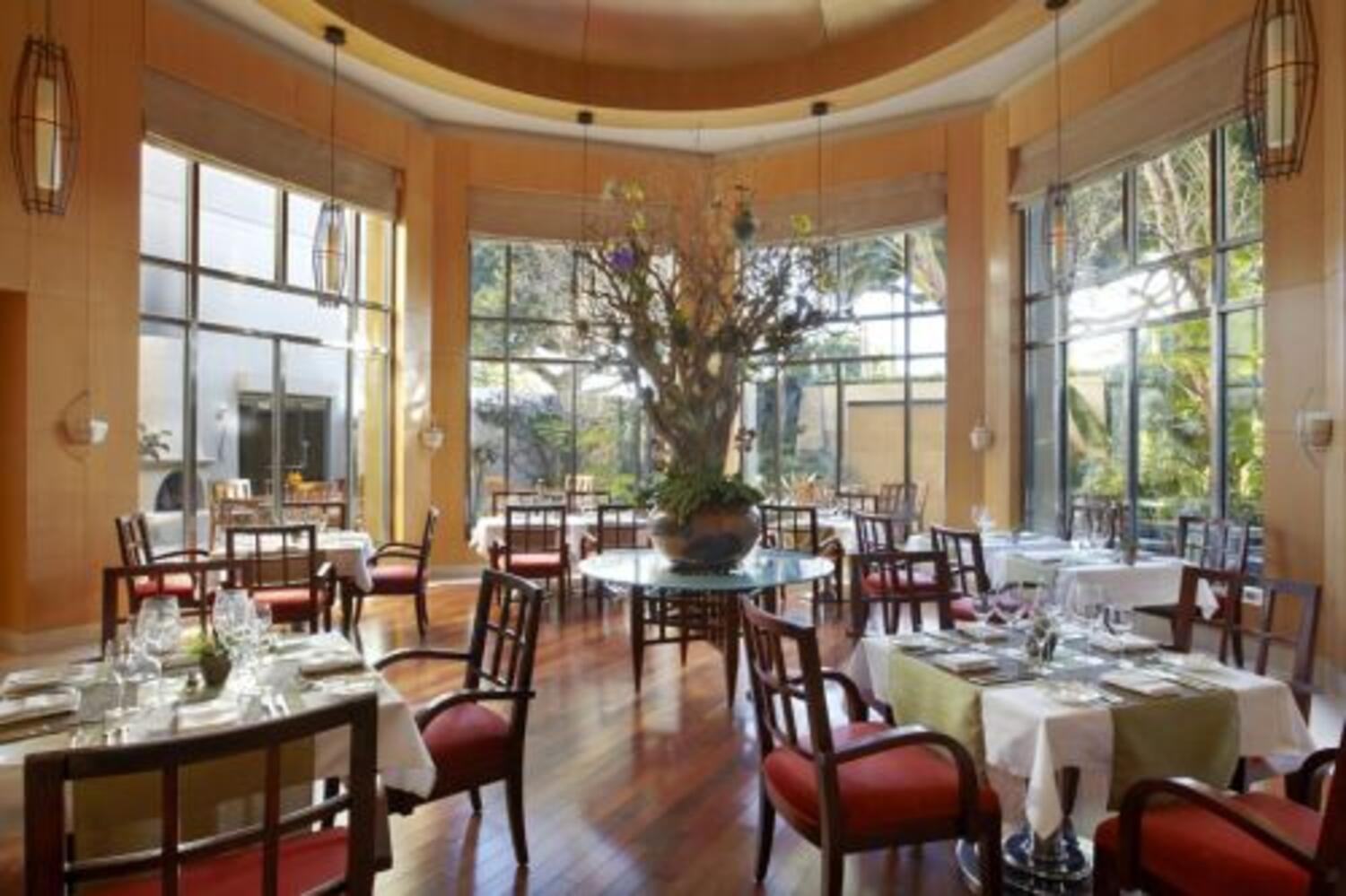 LIVELLO Sunday Brunch