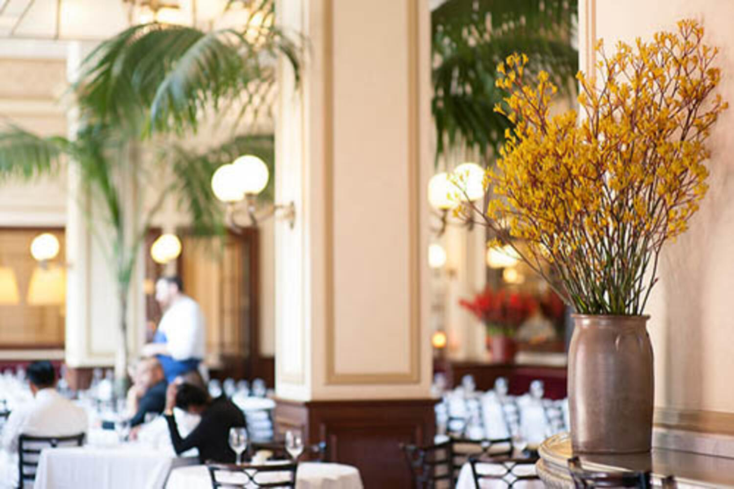 Tour De France Dinner at Bouchon