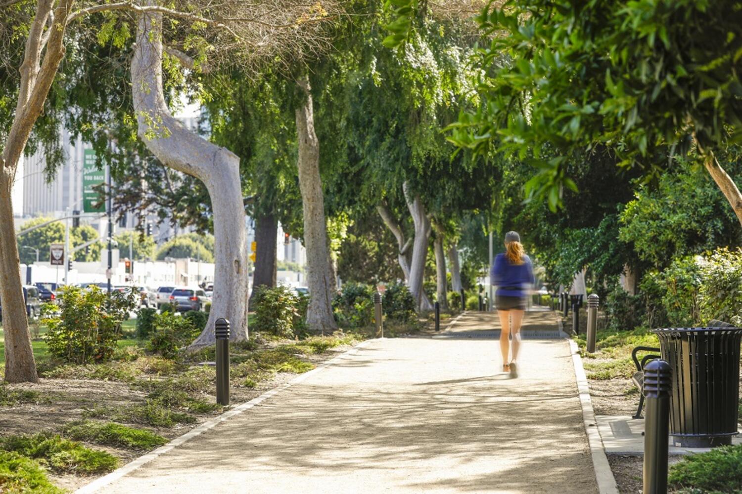 Where to Walk, Run or Bike in Beverly Hills