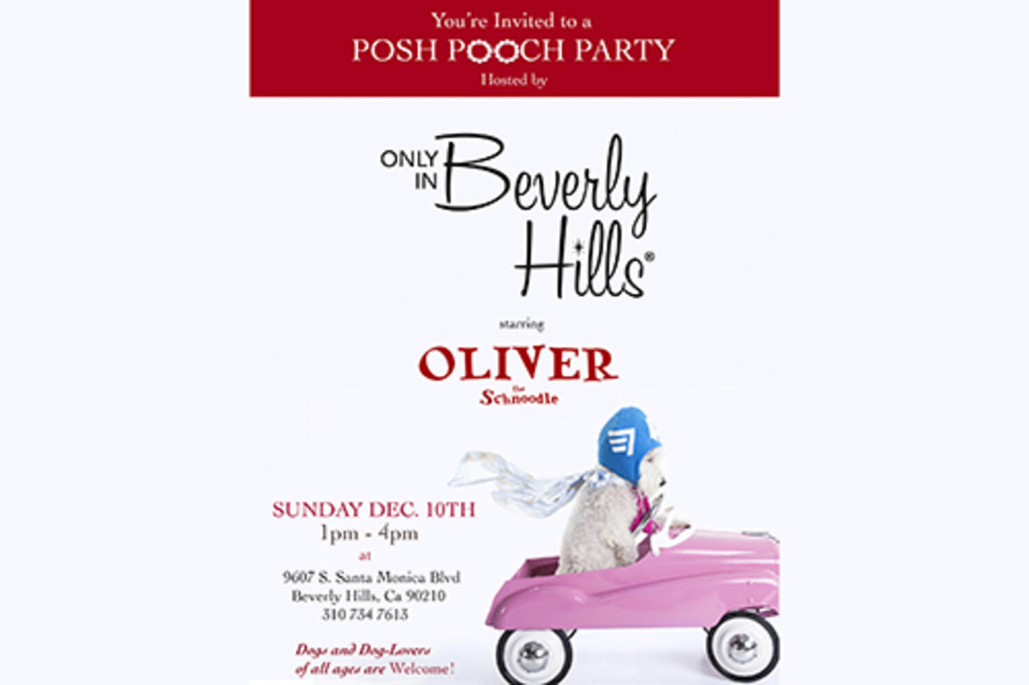 Posh Pooch Party at Only in Beverly Hills