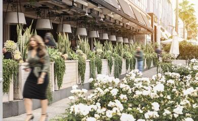 AVRA Beverly Hills