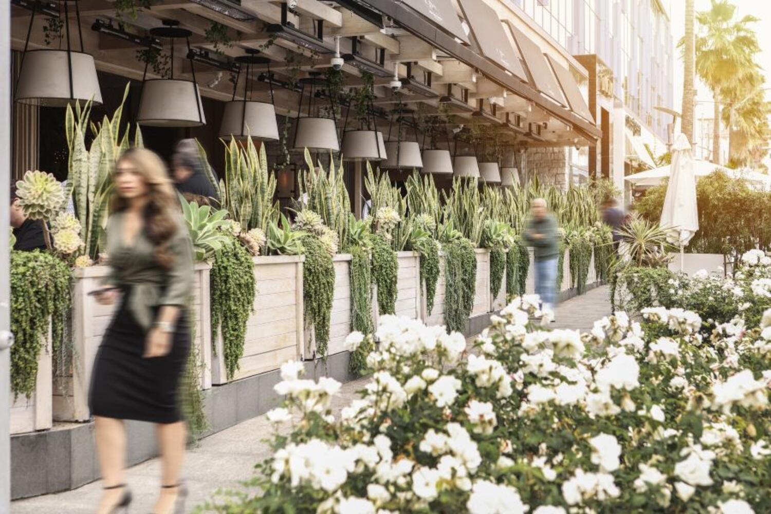 AVRA Beverly Hills