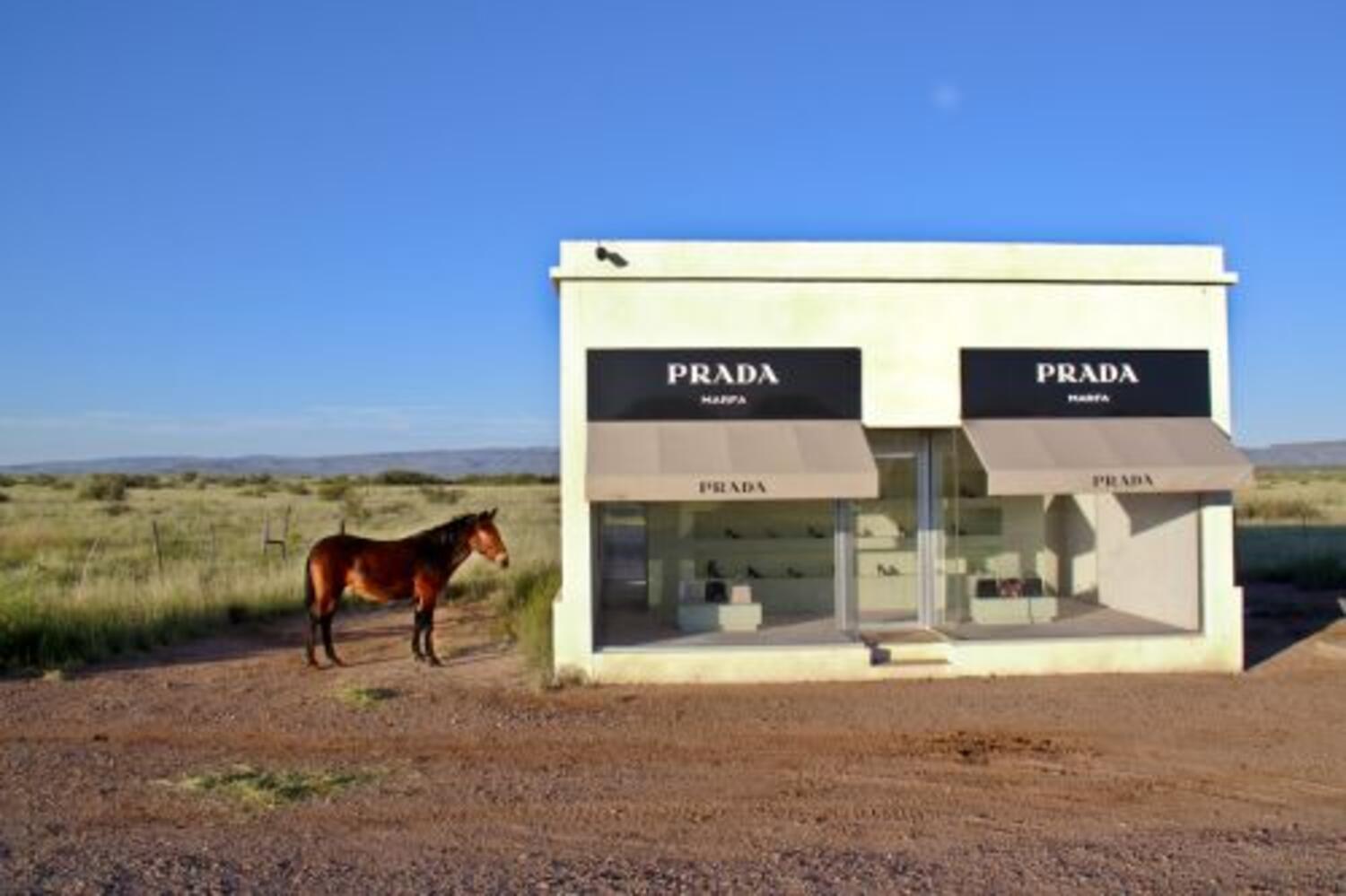 Maison Gray Photography Exhibit