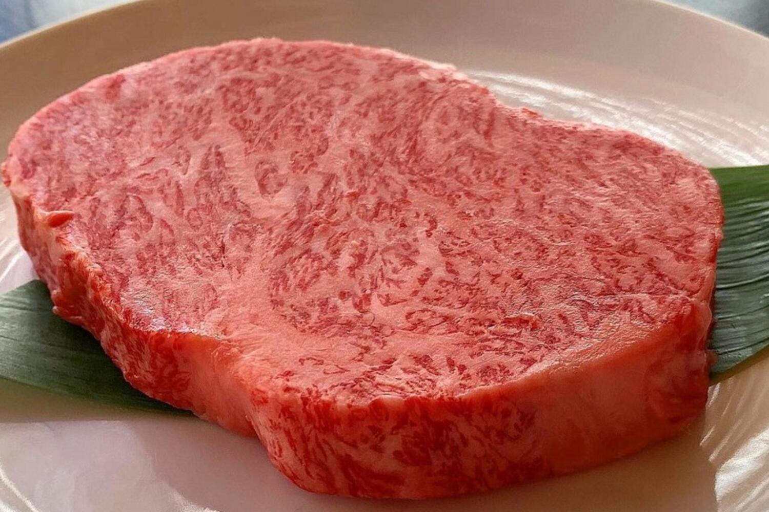 IMA 