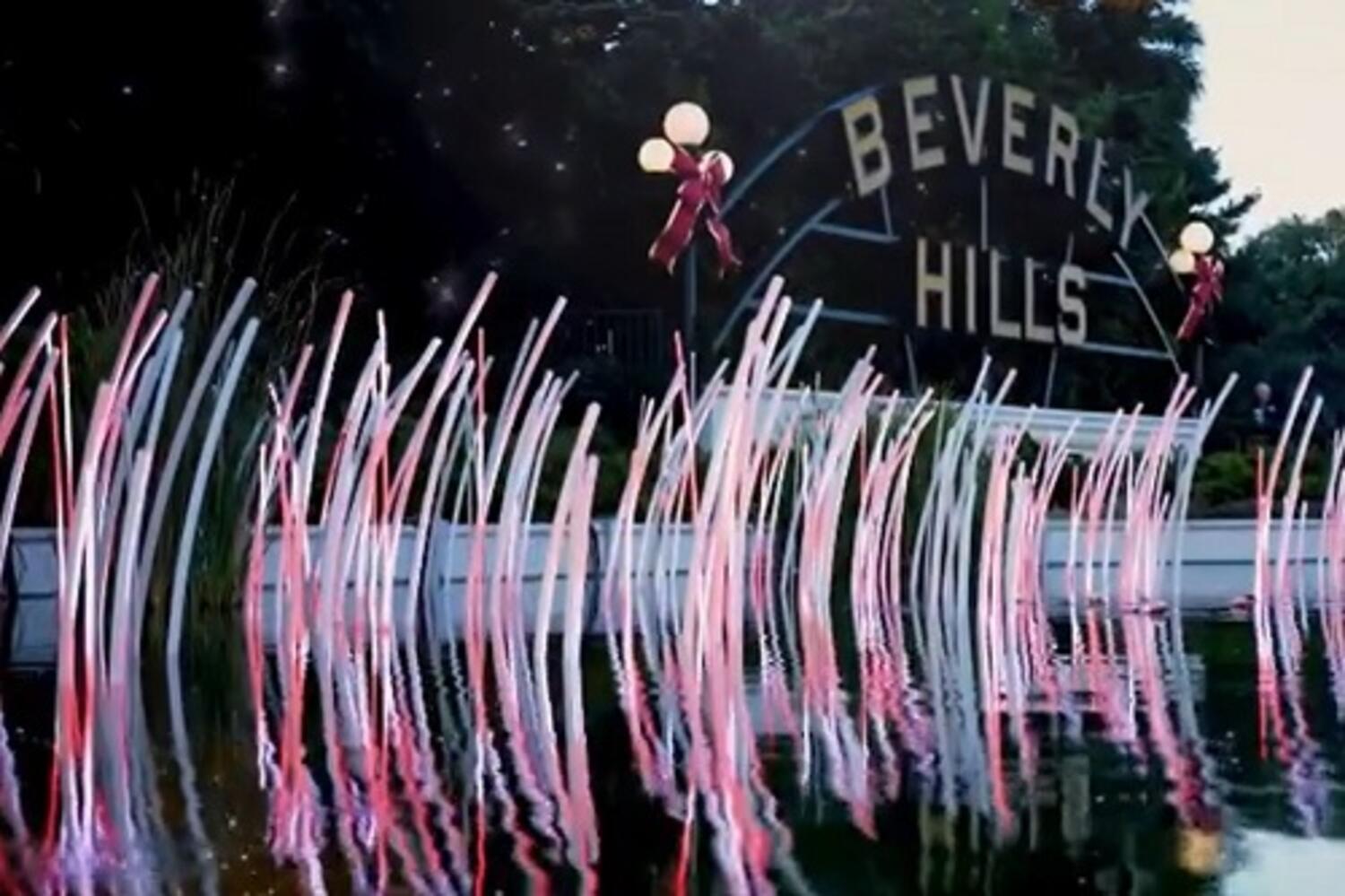 Glowing Reeds Audio & Light Show