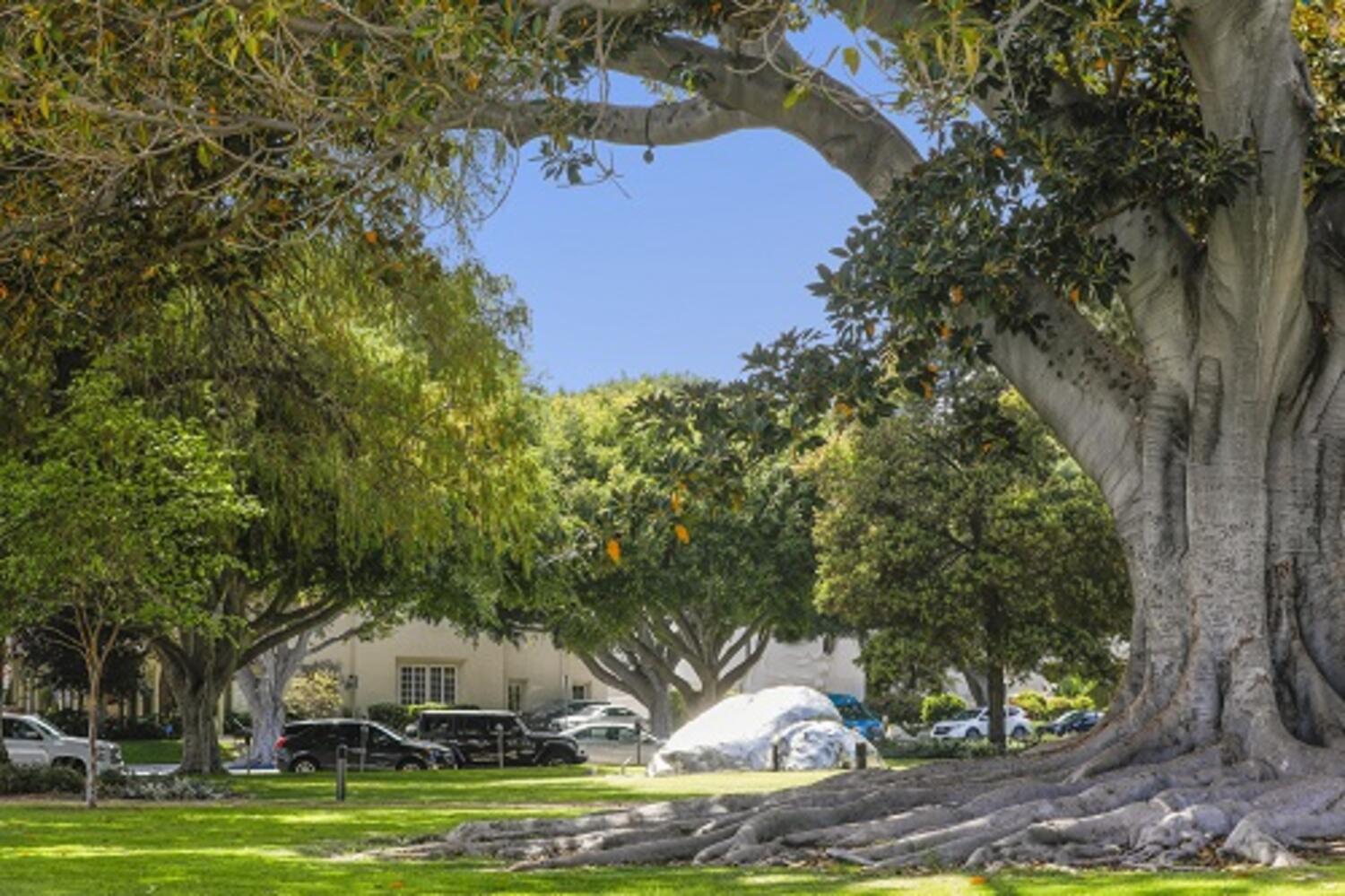 Beverly Hills Sculpture Park and Architecture History Tour – January 8, 2023