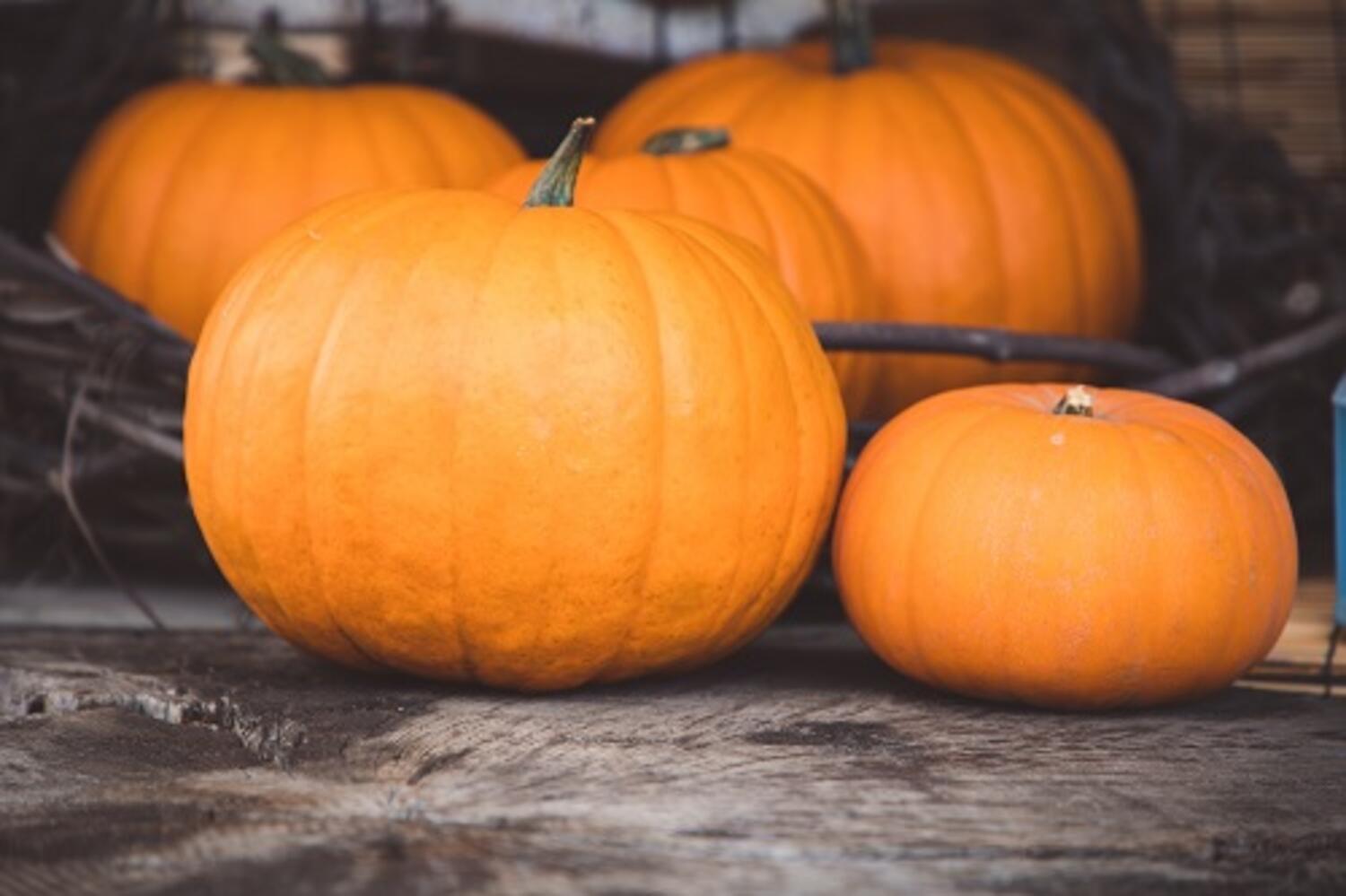 Pumpkin Carving Contest at Waldorf Astoria Beverly Hills