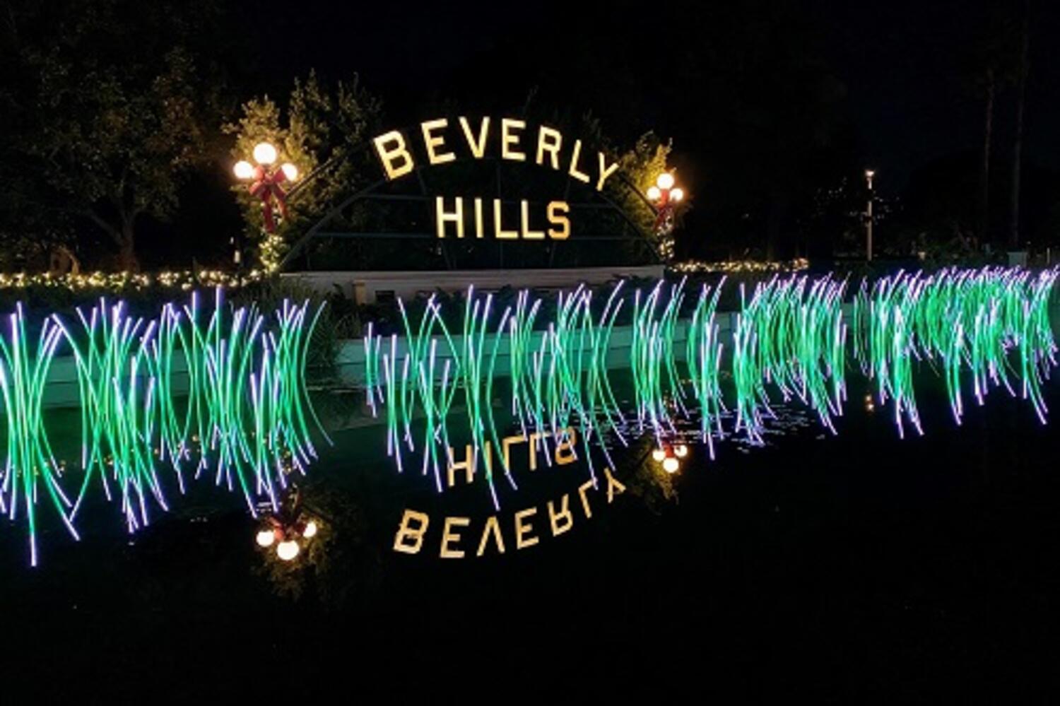Lights on the Lily Pond