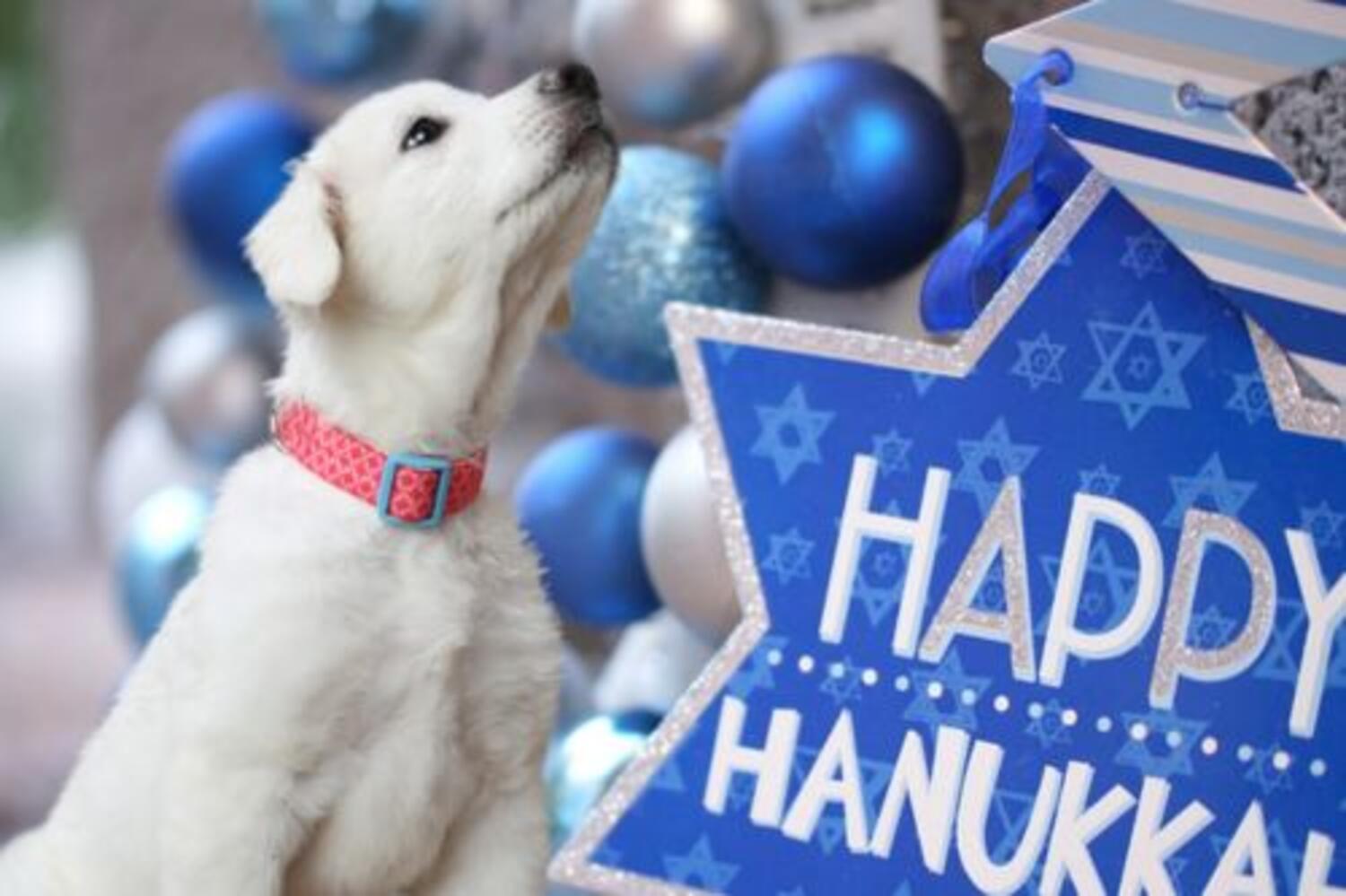 Santa Paws Yappy Hour 