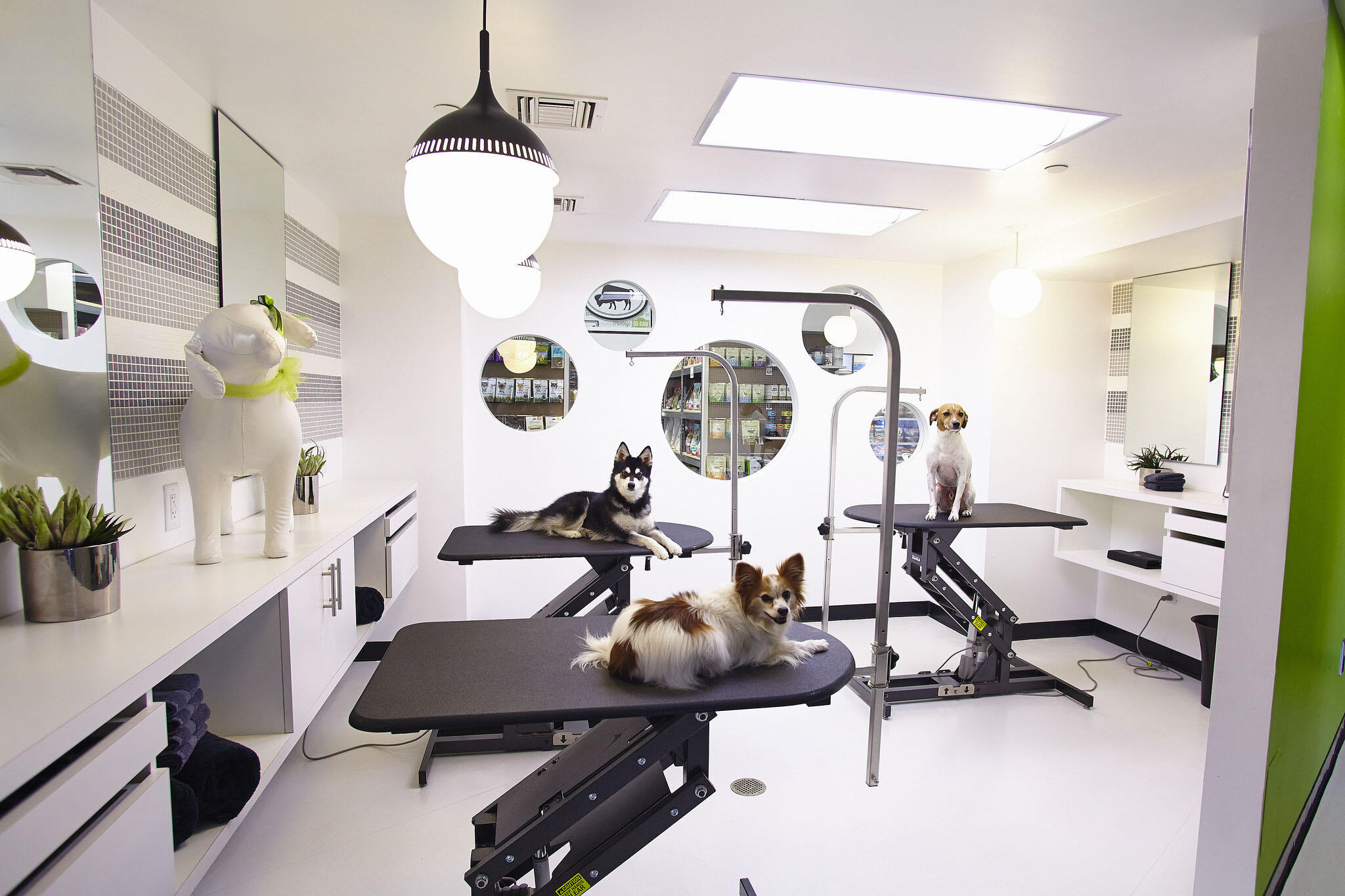 luxury dog grooming near me