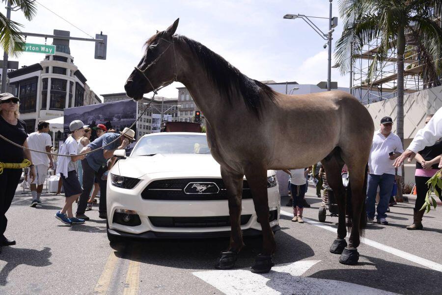 The Rodeo Drive Concours d'Elegance — RODEO DRIVE