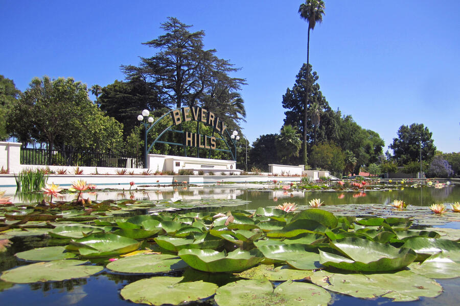 Beverly Hills Sign and Lily Pond at Beverly Gardens Park